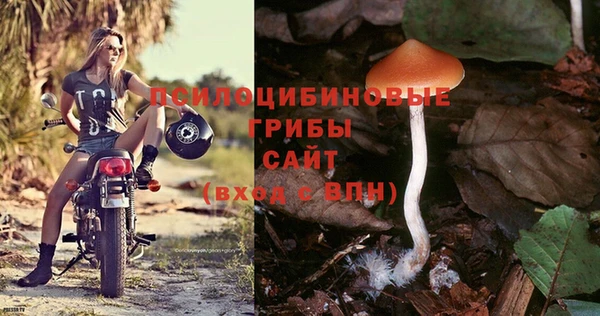 ALPHA-PVP Богородицк