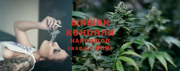 ешки Богданович