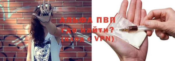 прущие грибы Богородск