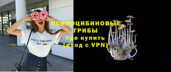 прущие грибы Богородск