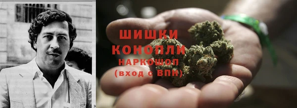 ешки Богданович
