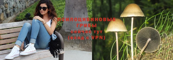 ешки Богданович