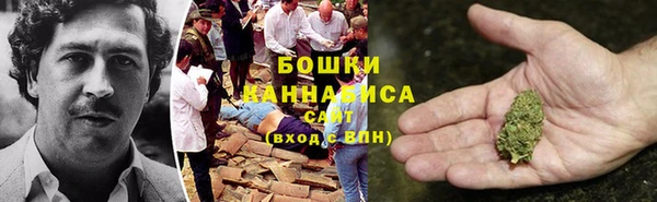 прущие грибы Богородск