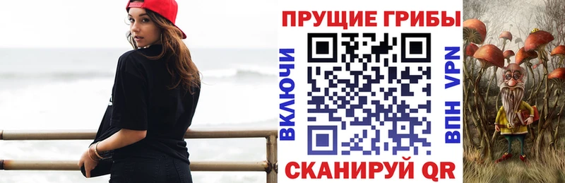 Галлюциногенные грибы Psilocybine cubensis  купить   Горняк 